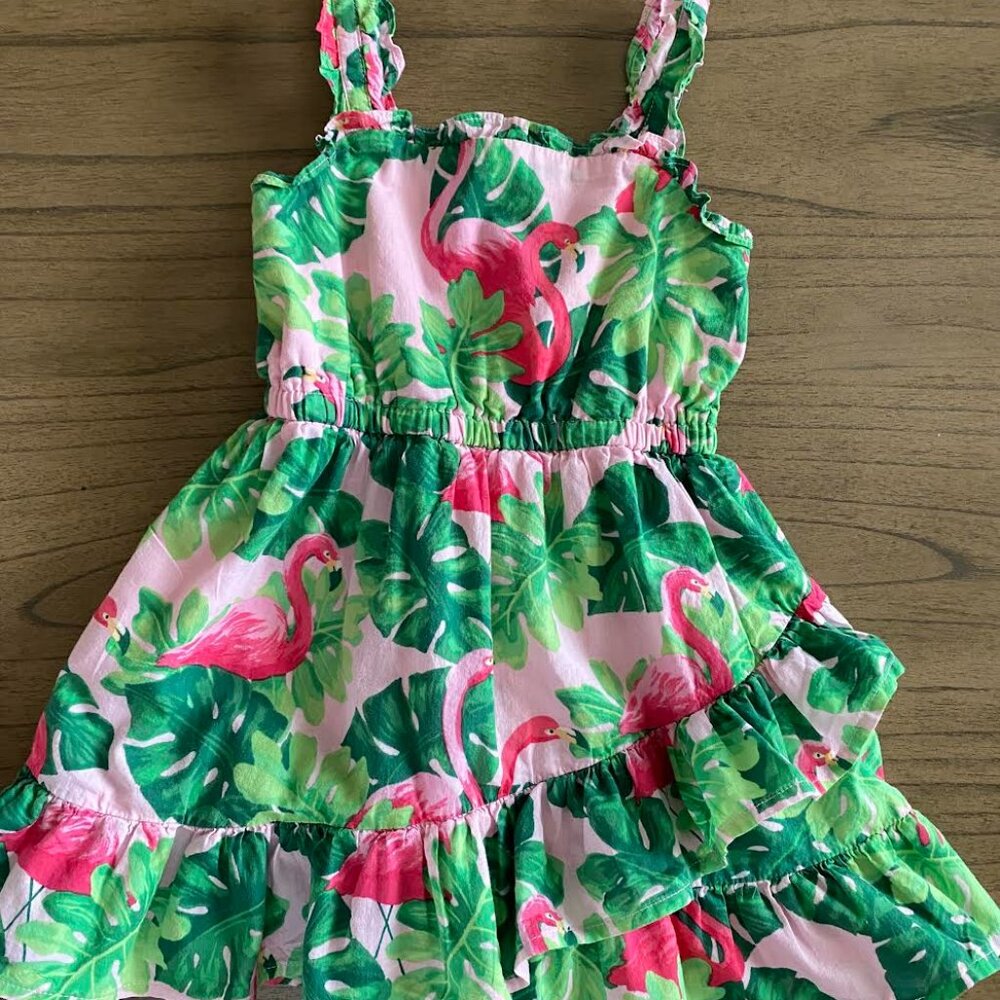 Janie and Jack Baby Girl's Dress S-2T